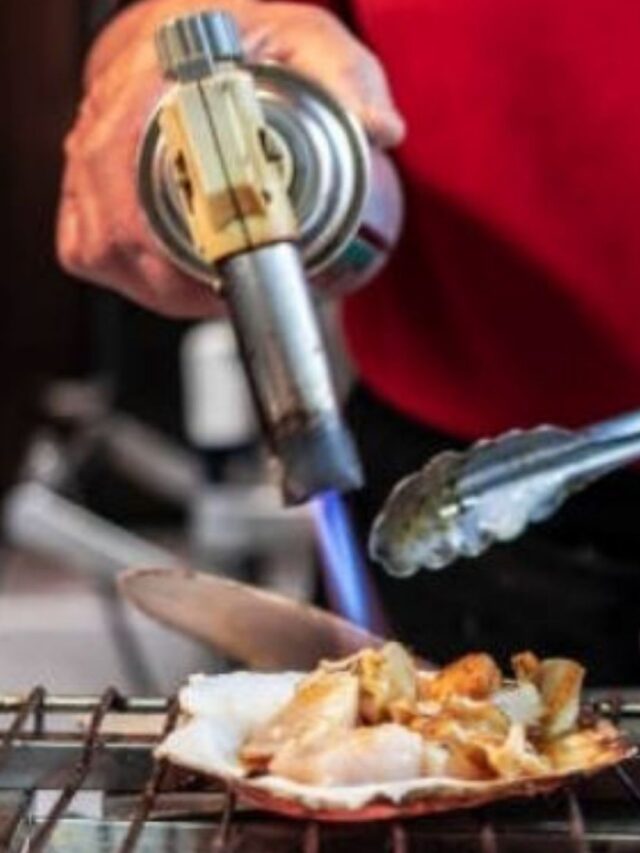 Top 9 Melhores Maçaricos Culinário