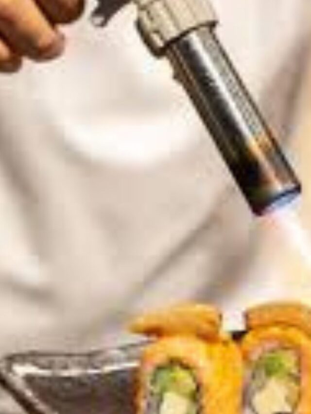 Melhores maçaricos culinários
