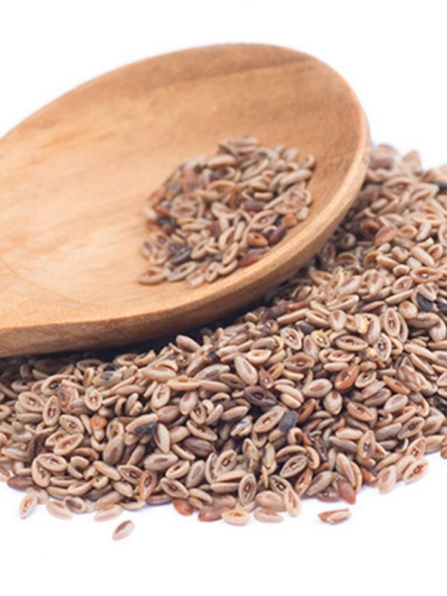 Psyllium: Emagreça com Saúde e Bem-Estar