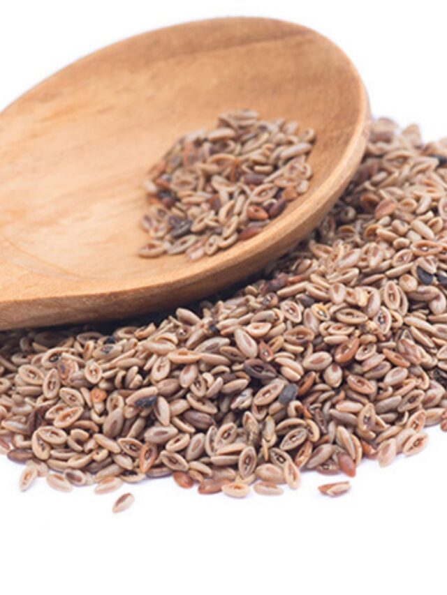 Psyllium: A Fibra Essencial para Sua Dieta