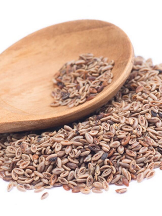 Tomar Psyllium Emagrece?