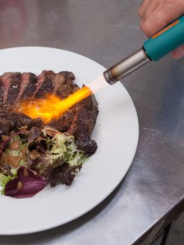 Guia dos Melhores Maçaricos Culinário