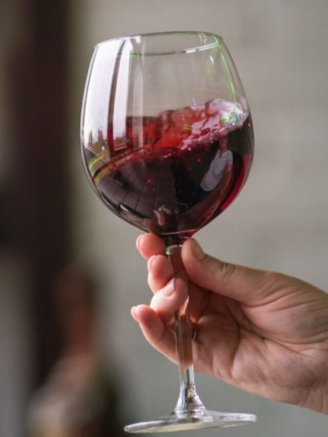 Melhores vinhos brasileiros 2024