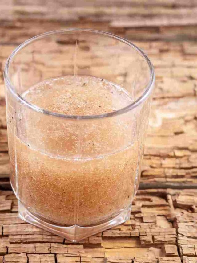 Psyllium: Alimento dos Deuses para o Intestino