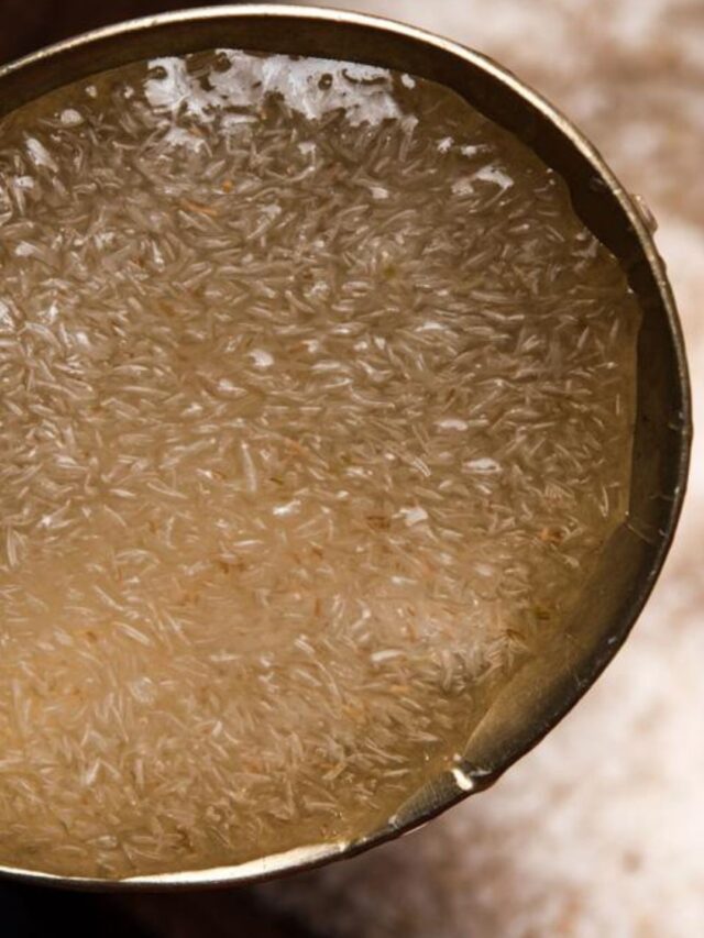 Psyllium: O Segredo para uma Digestão Leve