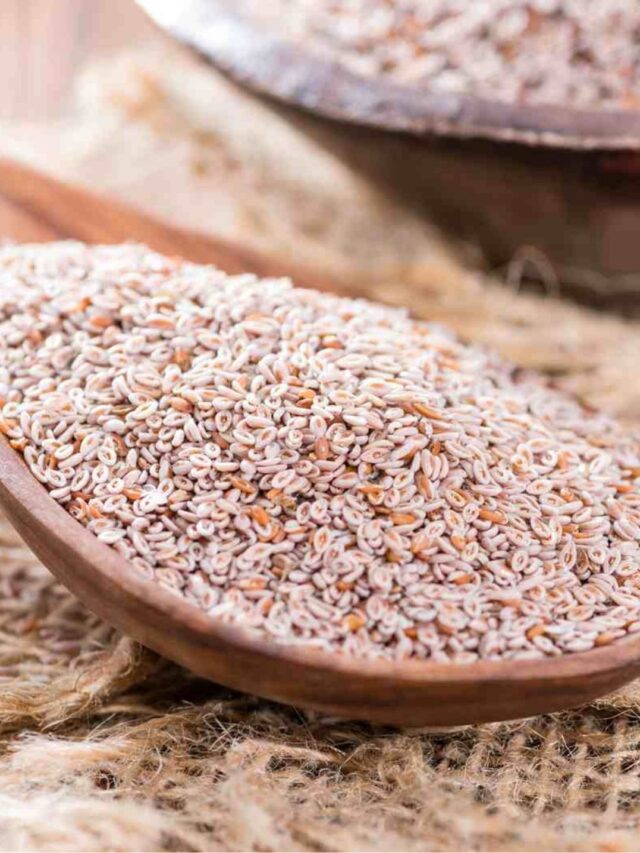Como tomar Psyllium para emagrecer?