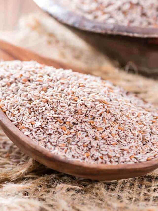 Como usar o Psyllium para Emagrecer?