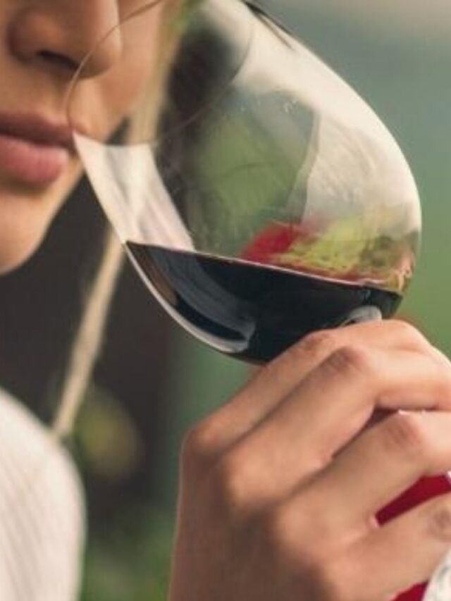 Melhores Vinhos Tintos Suaves Portugueses