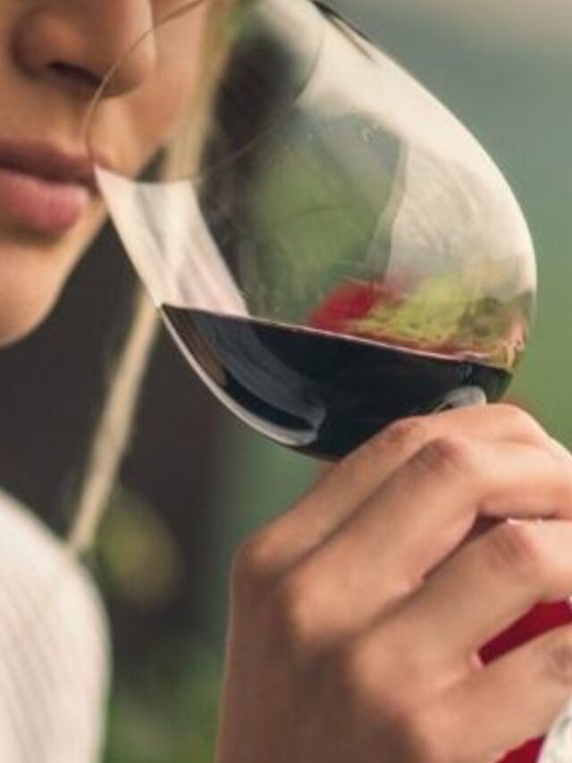 Vinhos Orgânicos de Portugal: Sustentabilidade e Qualidade