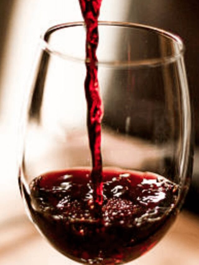 História do Vinho Argentino: Uma Jornada Fascinante