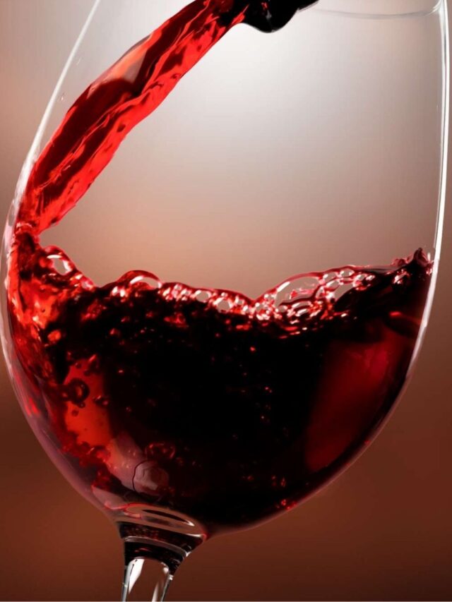 Vinhedos Andinos: A Magia do Vinho Argentino