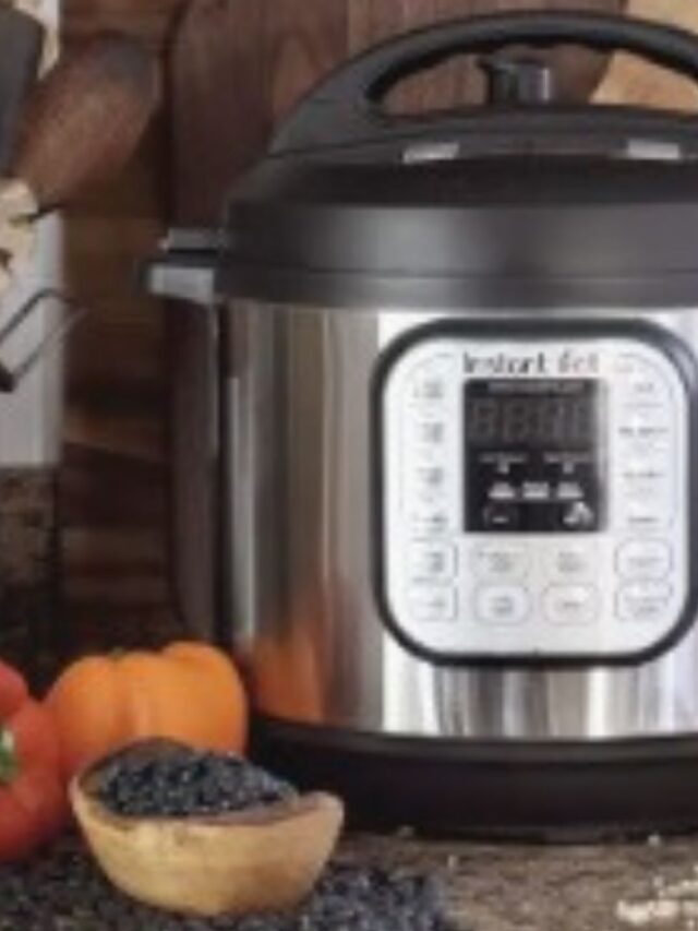 Receitas Rápidas: Panela de Pressão Elétrica
