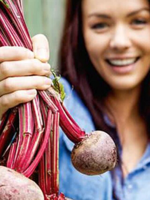 Bolos low carb com beterraba: irresistíveis!