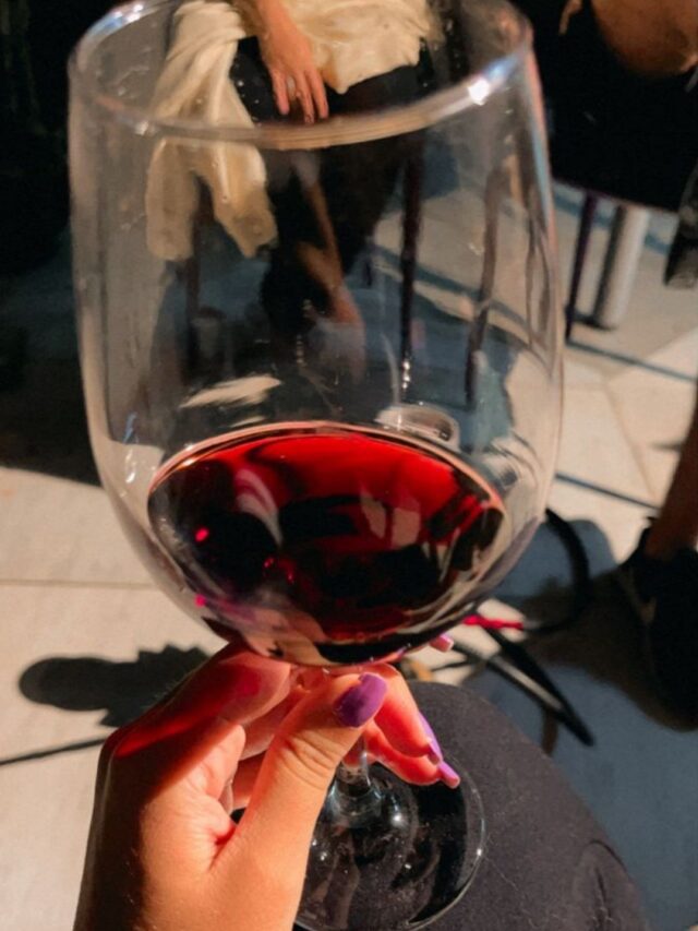 Destinos Inesquecíveis: Roteiros Enológicos no Chile