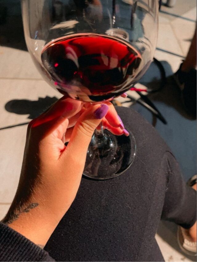 Viagem Sensorial: Apreciando os Aromas e Sabores dos Vinhos Argentinos