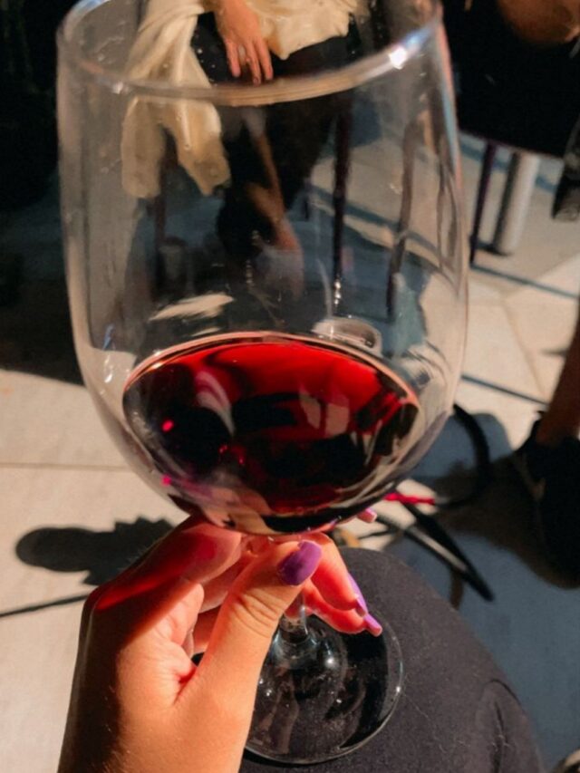 Da Uva à Taça: Um Mergulho nos Melhores Vinhos Argentinos