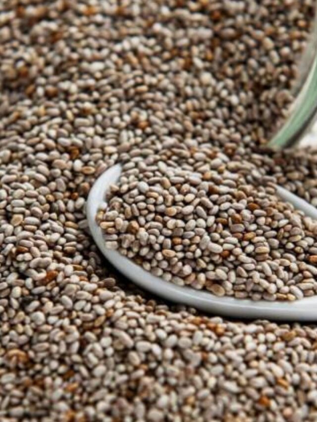 Semente de Chia, benefícios para o intestino