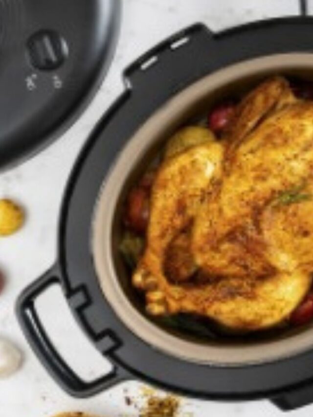 Qual a melhor panela de pressão elétrica 6 litros?