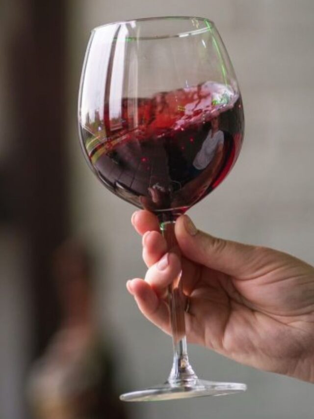 Vinho Chileno: Um Presente para o Seu Paladar