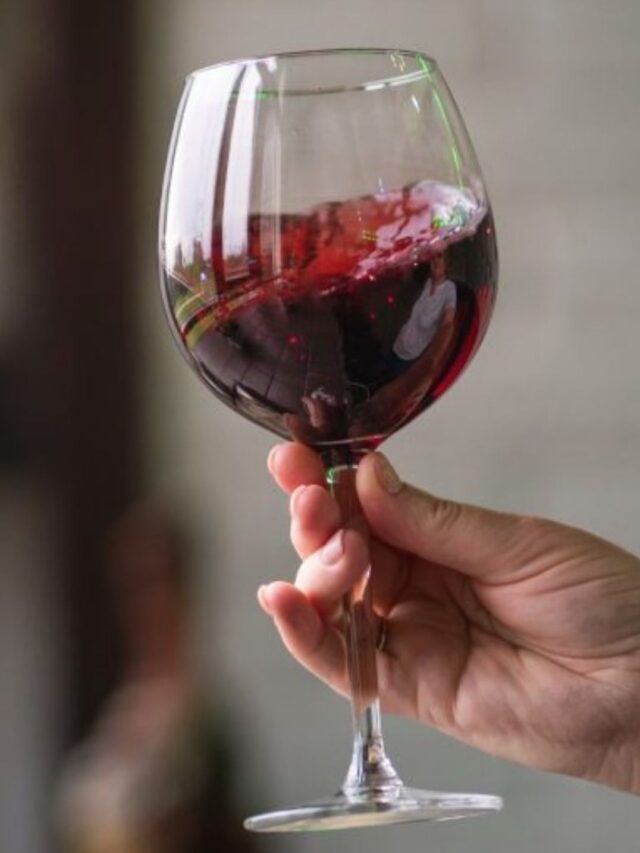 Quais os Melhores Vinhos Argentinos?