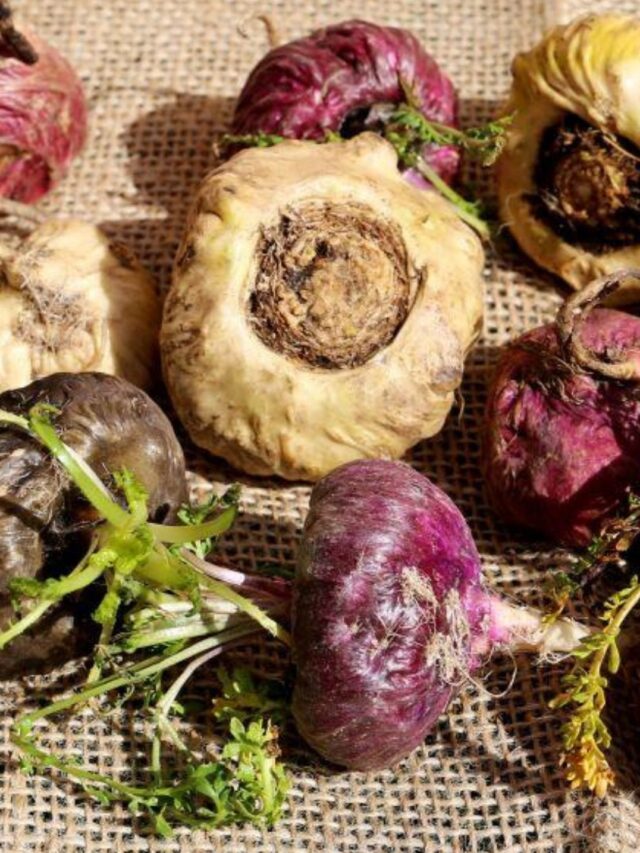 Maca Peruana: Melhore sua Vida Sexual!