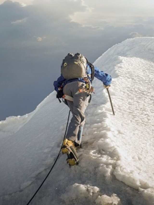 O segredo do sucesso? Persistência!