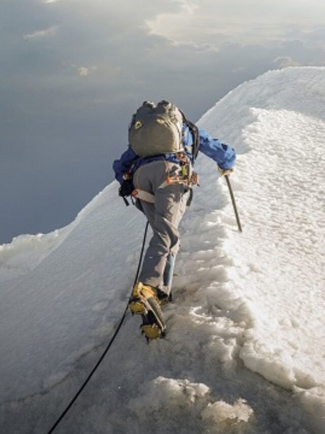 Persistência: A força que move montanhas!