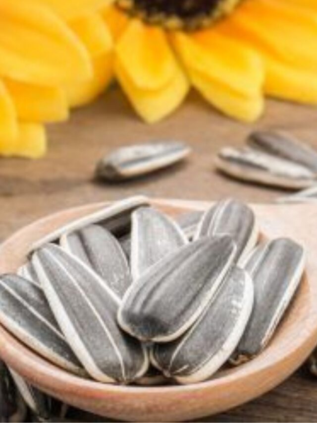 Semente de Girassol: Alimento Anti-Inflamatório