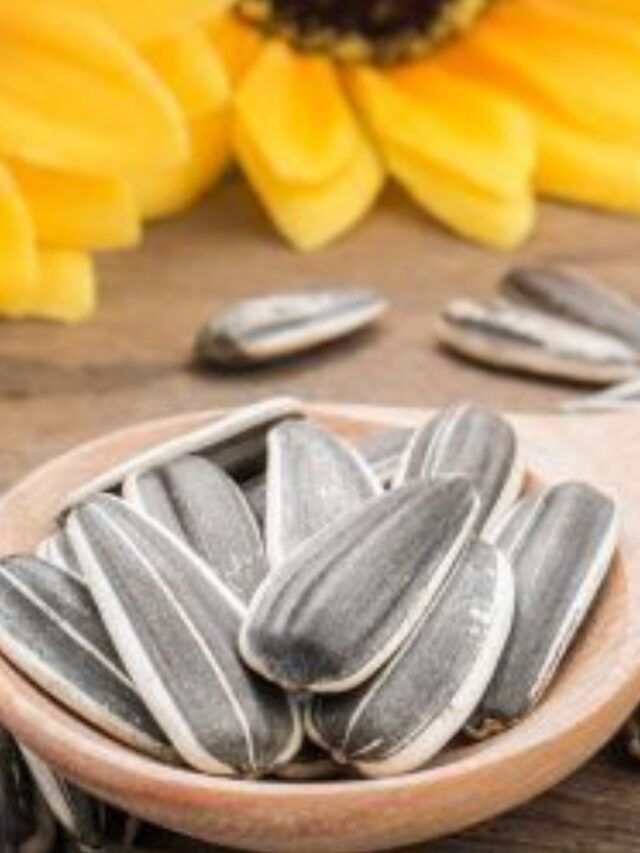 Coração Saudável? Semente de Girassol: Comece por aqui!