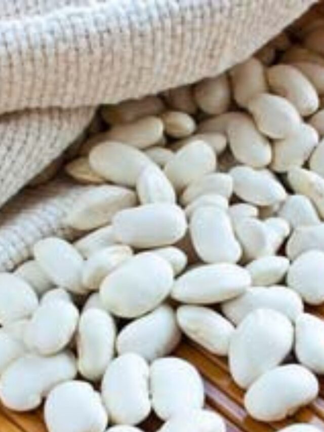 Descubra os benefícios da Faseolamina!