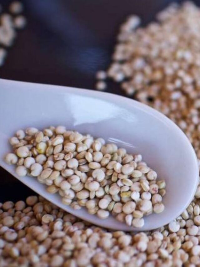 Quinoa: Proteína completa para veganos
