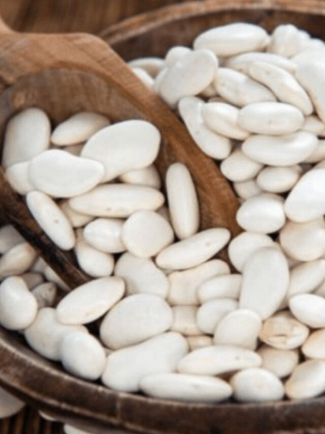 Dieta low carb? A Faseolamina é a solução!