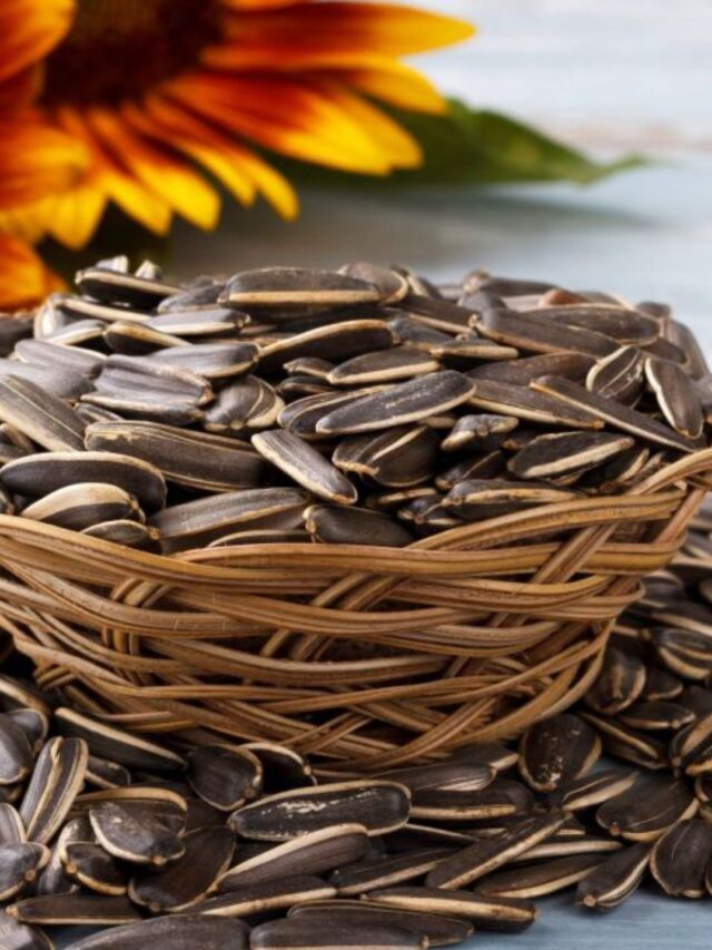 Mais Energia no Dia a Dia? Sim! Semente de Girassol