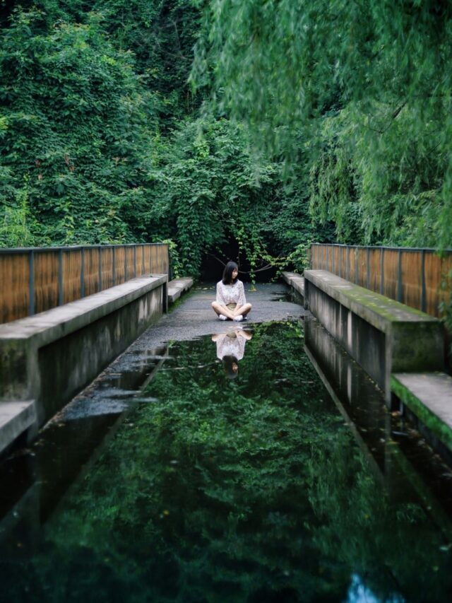 Descubra o Poder da Mente Calma