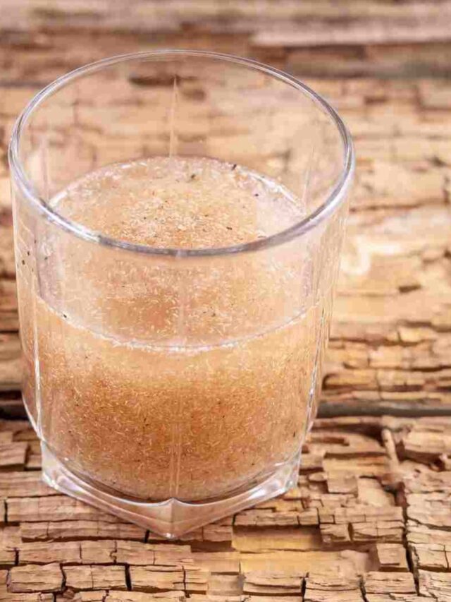 É verdade que o Psyllium emagrece?