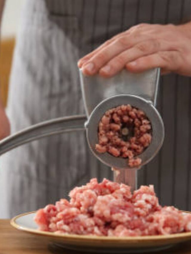 Como escolher um Moedor de Carne?