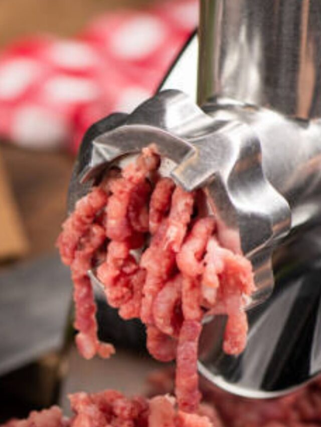 Qual o melhor Moedor de Carne?