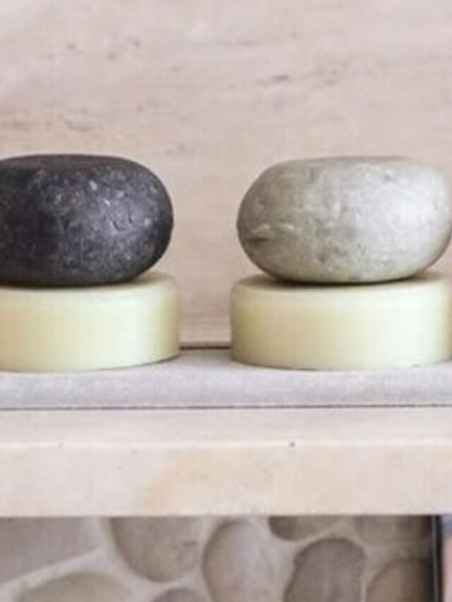 Melhores marcas de produtos de cabelo em barra