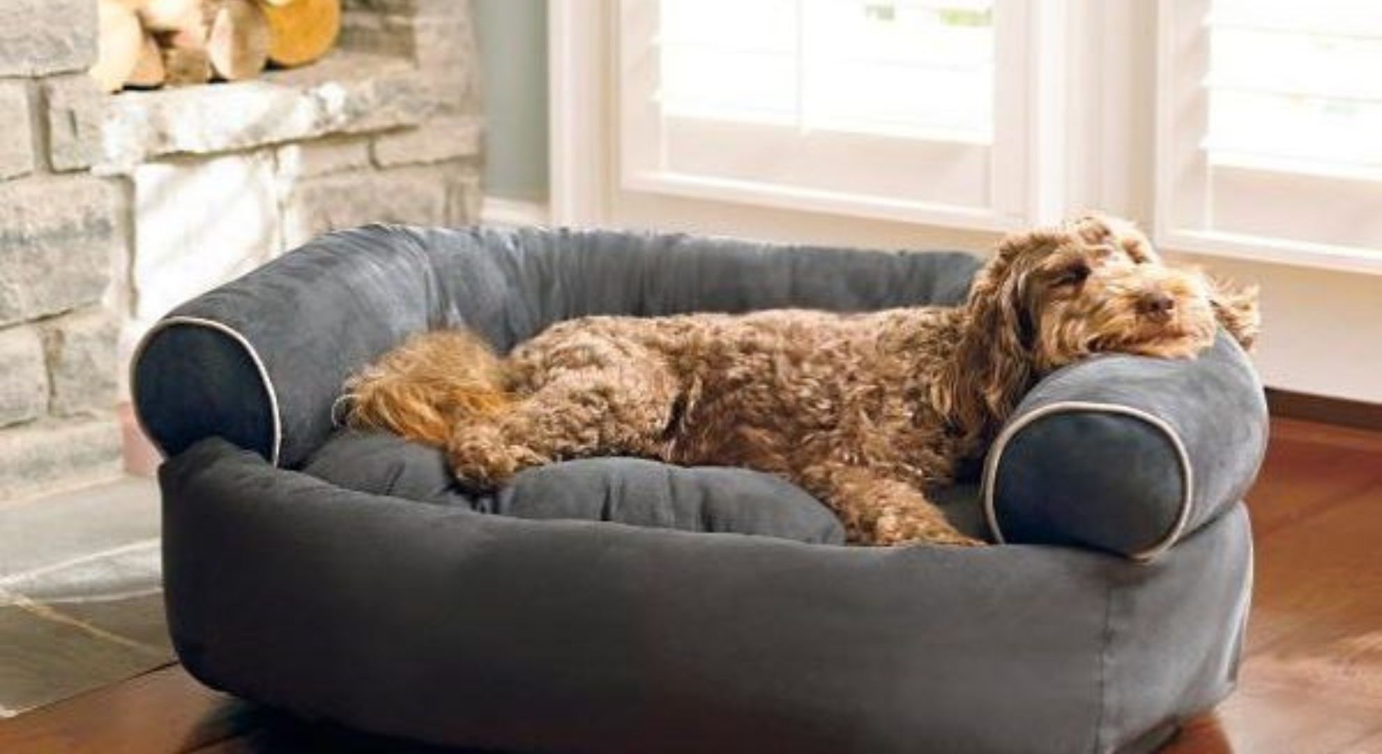 Melhor Cama Para Cachorro: As 6 Melhores Marcas do Mercado