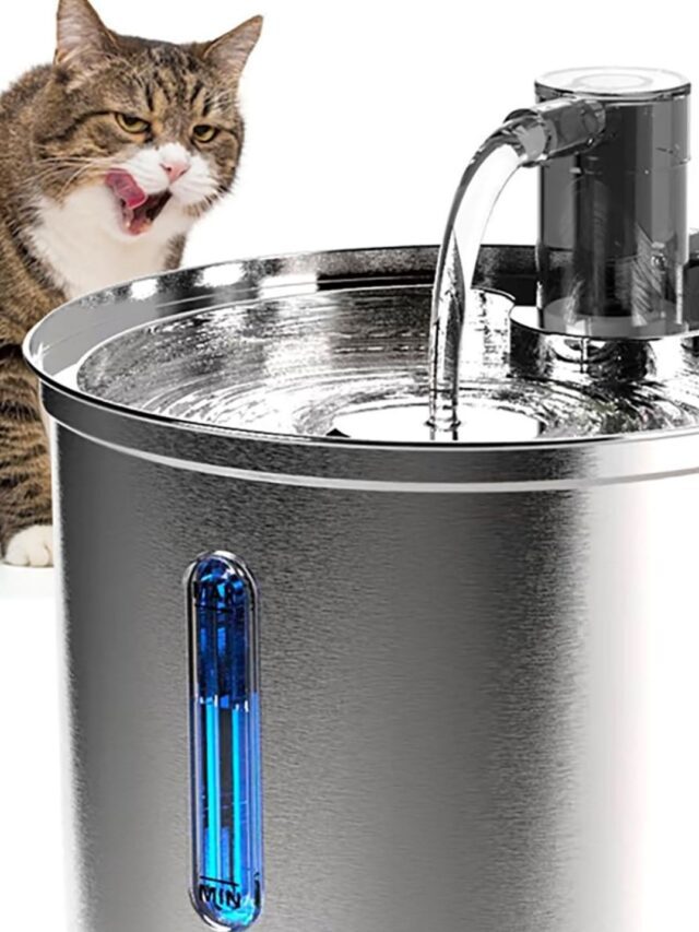 Melhor Bebedouro Automático Para Gatos