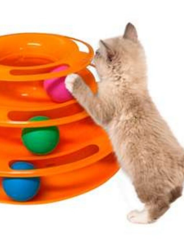 Melhor Brinquedo Para Gato